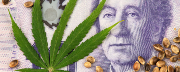 How Much Does It Cost To Get A Dispensary License In Ontario?