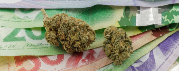 How Much Does The Average Dispensary Make In Ontario?