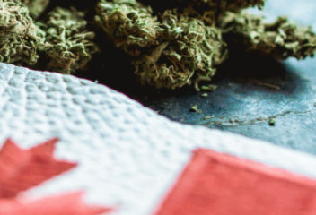 What Do You Need To Be A Budtender In Canada?