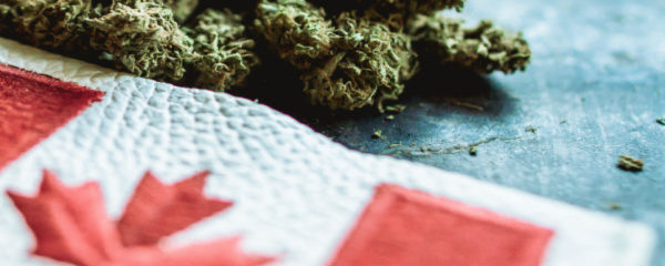 What Do You Need To Be A Budtender In Canada?