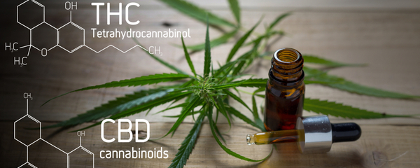 What Is The Strongest Cannabinoid?