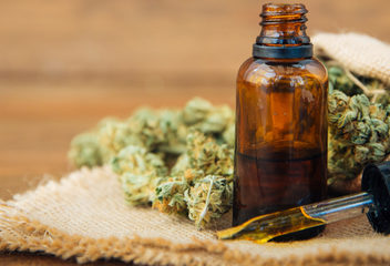 What’s The Difference Between 500Mg And 1000Mg CBD Oil?